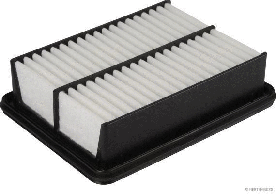 Air Filter (J1323072)