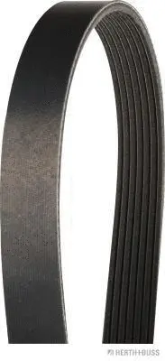 V-Ribbed Belt (J1071380)