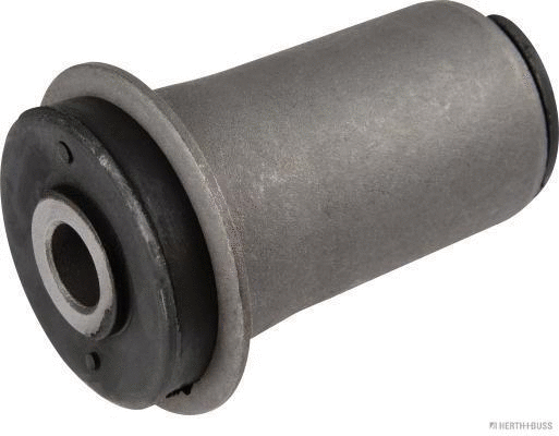 Mounting, control/trailing arm (J4205514)