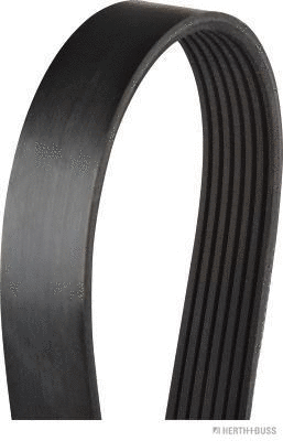 V-Ribbed Belt (J1071113)
