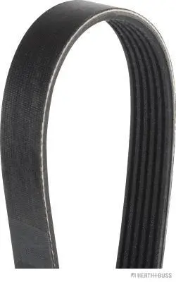 V-Ribbed Belt (J1060883)