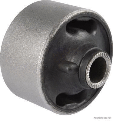 Mounting, control/trailing arm (J4202239)