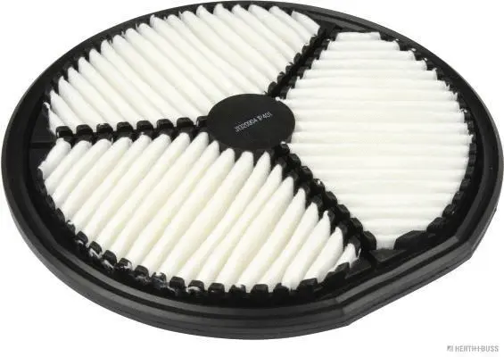 Air Filter (J1320904)