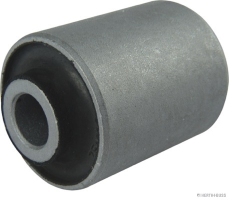 Mounting, control/trailing arm (J4207100)