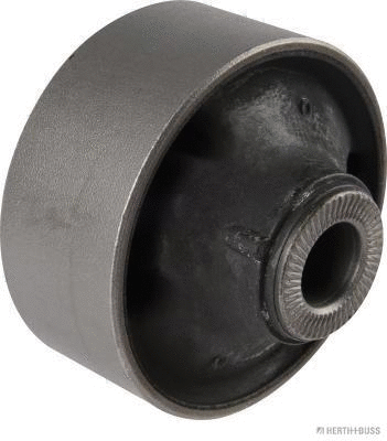 Mounting, control/trailing arm (J4200531)