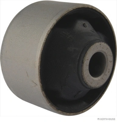 Mounting, control/trailing arm (J4200312)
