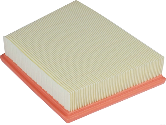 Air Filter (J1320863)