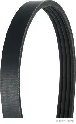 V-Ribbed Belt (J1041170)