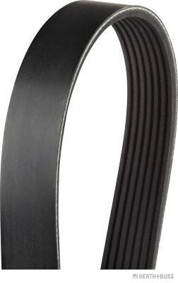 V-Ribbed Belt (J1071103)