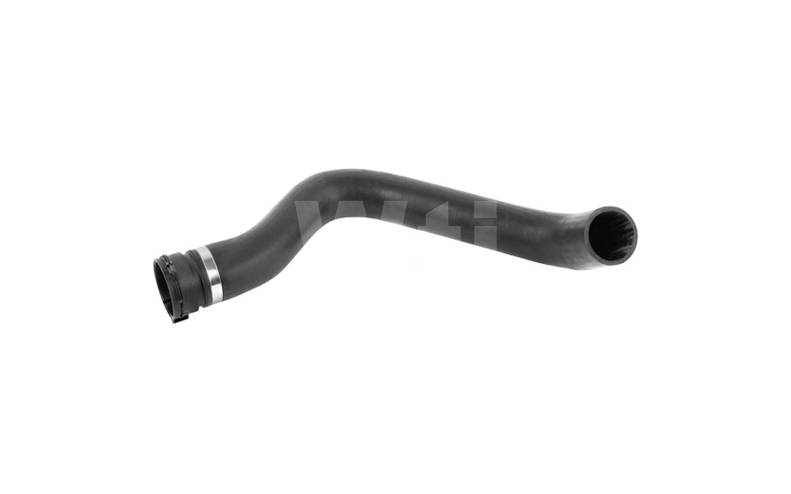 Radiator Hose (T811019)
