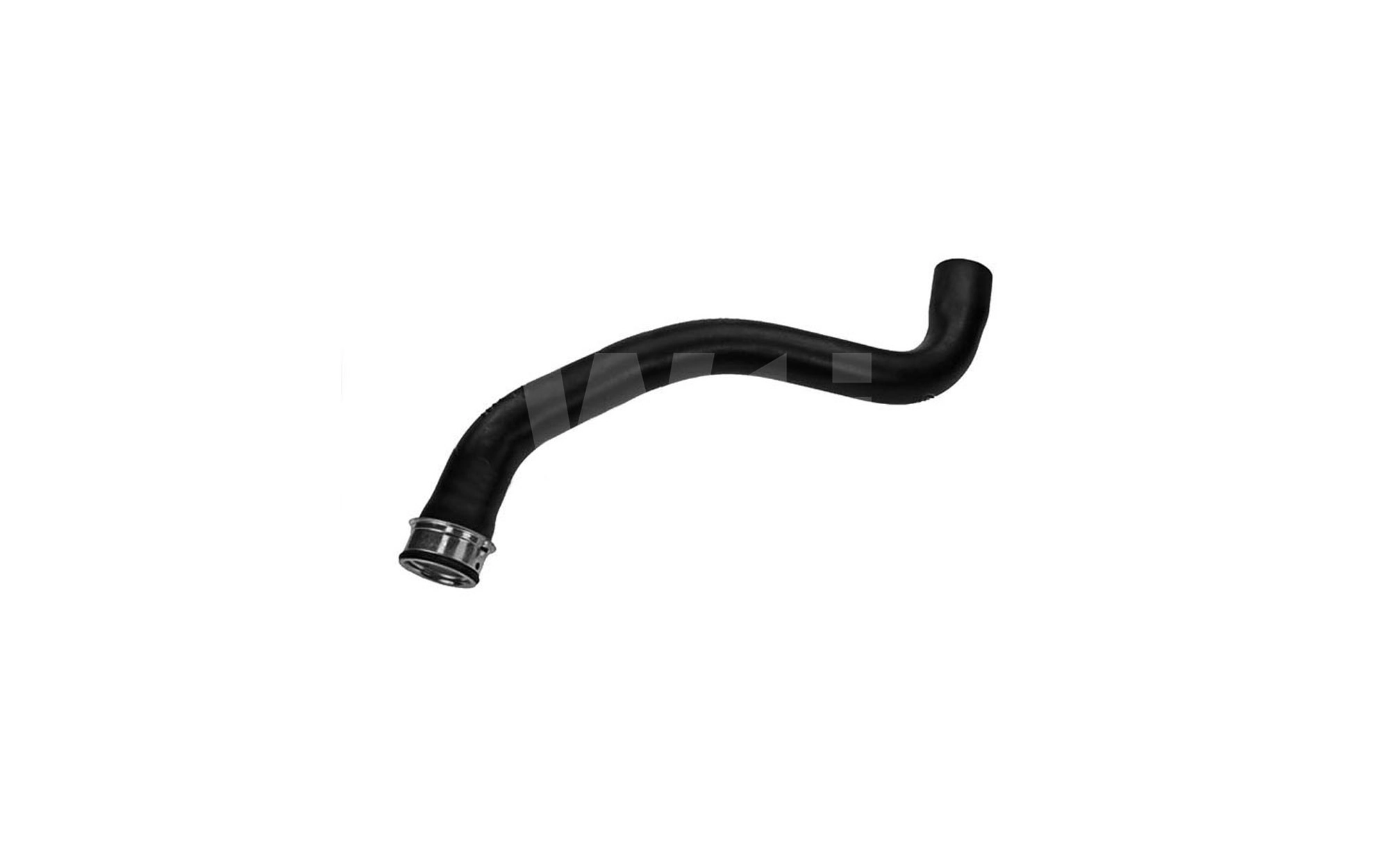 Radiator Hose (T451081)