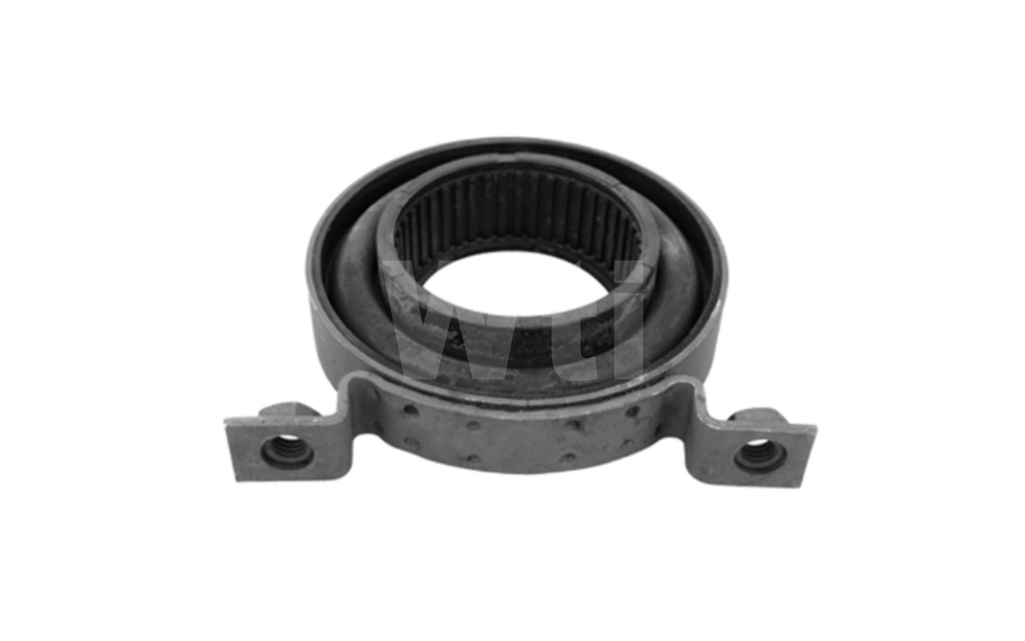 Suspension, propshaft (A221023)