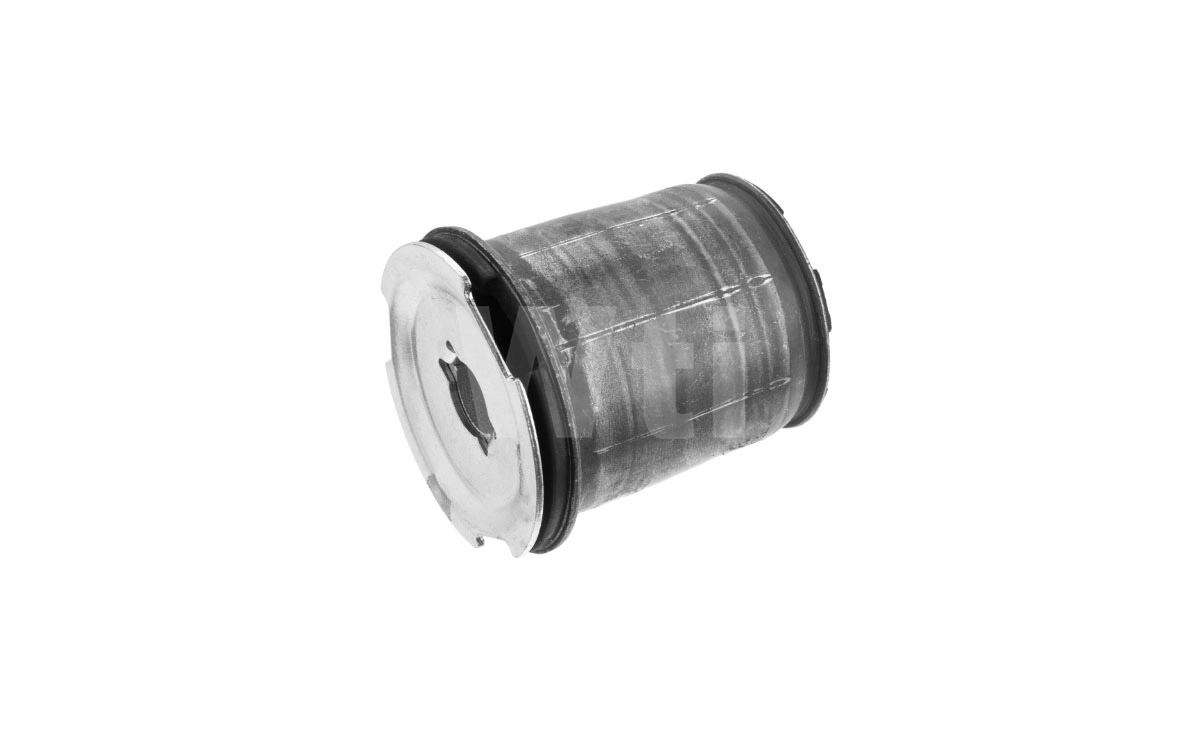 Bushing, axle beam (A921279)