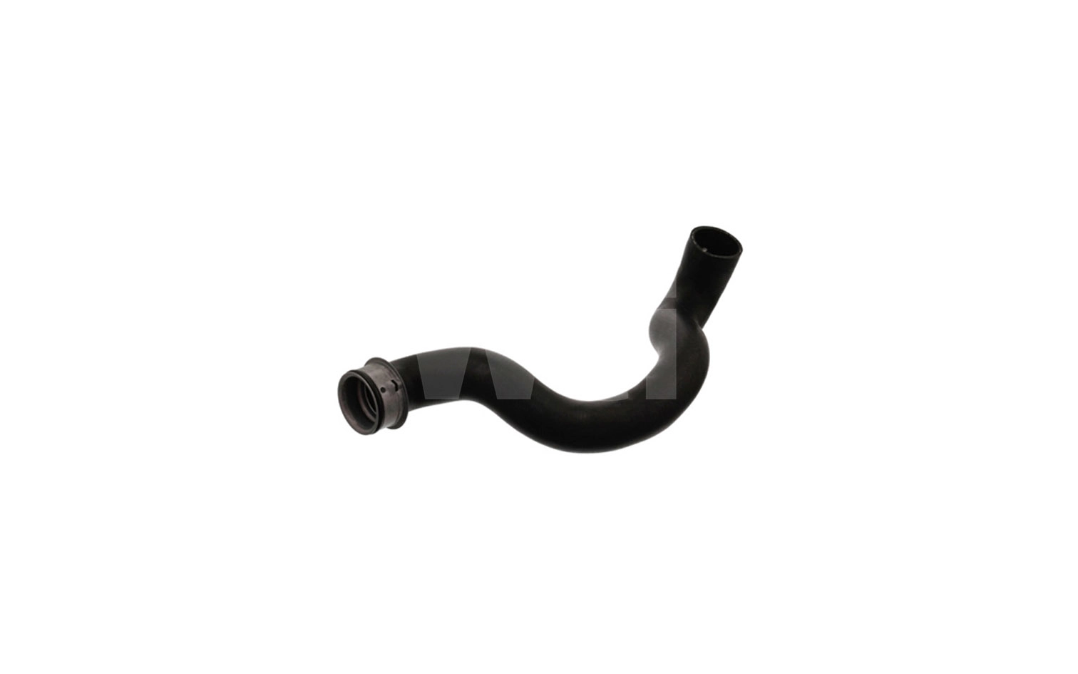 Radiator Hose (T451086)