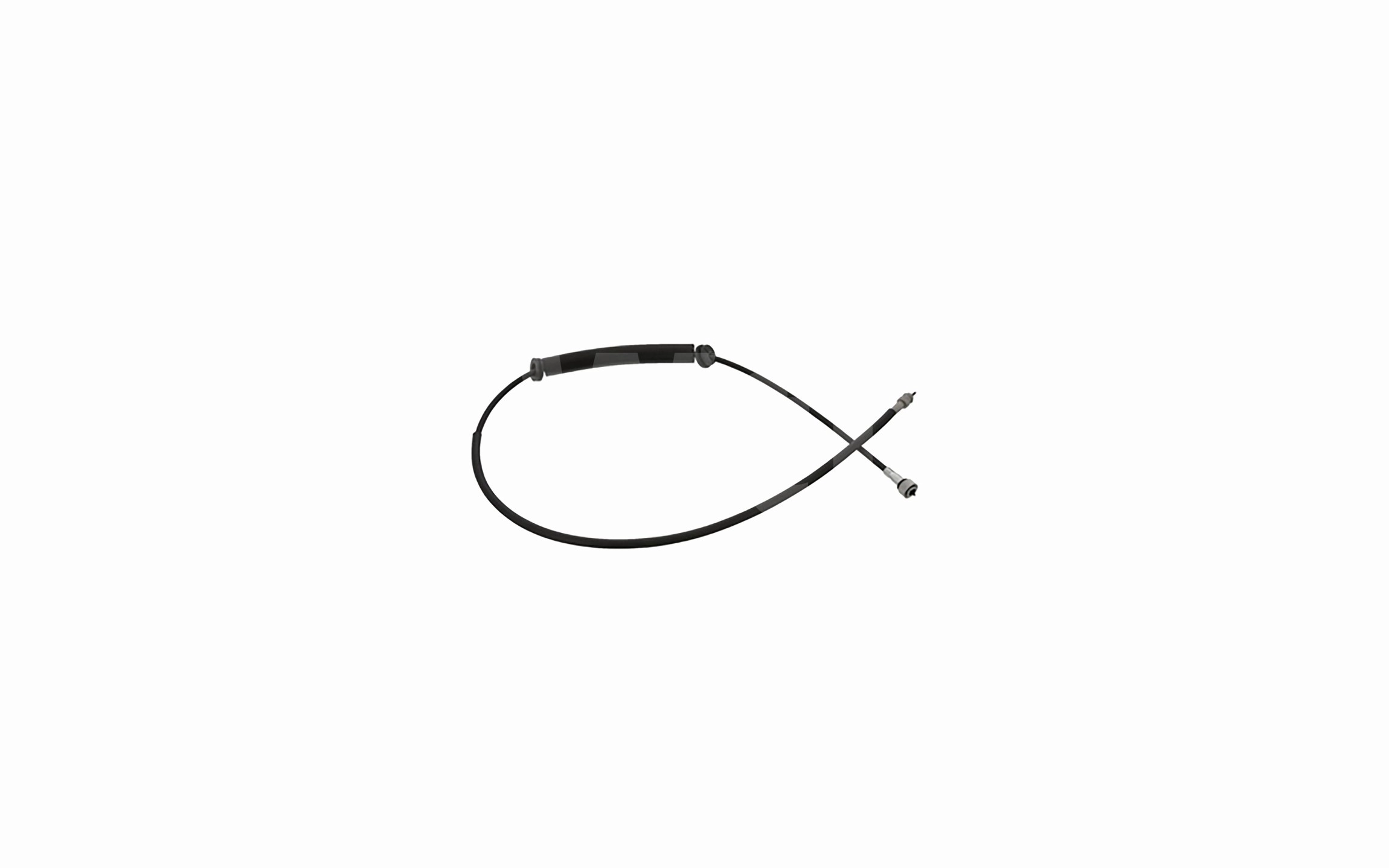 Speedometer Cable (C905579)