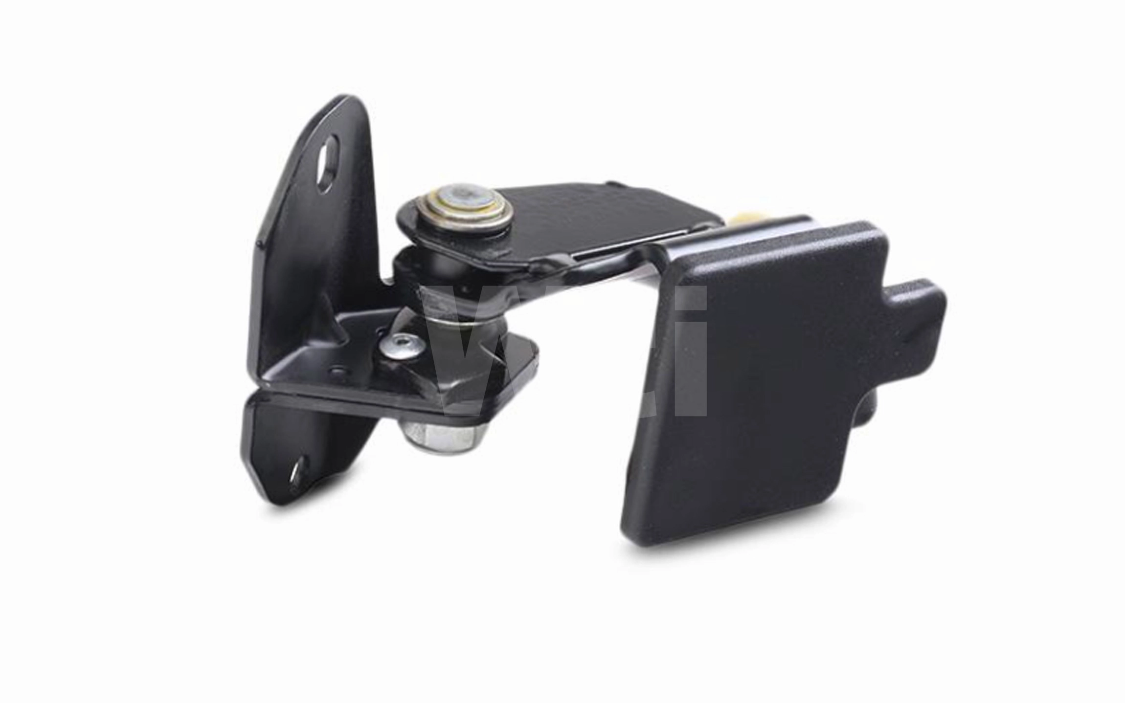 Door Check (D911006)