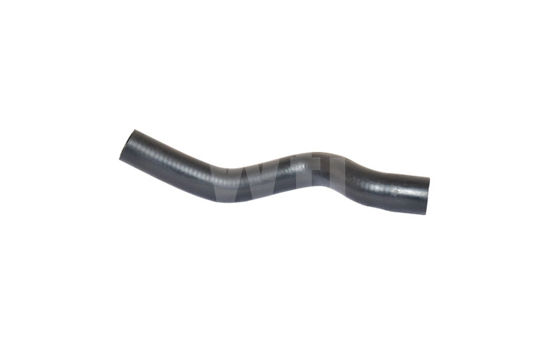Radiator Hose (T801540)