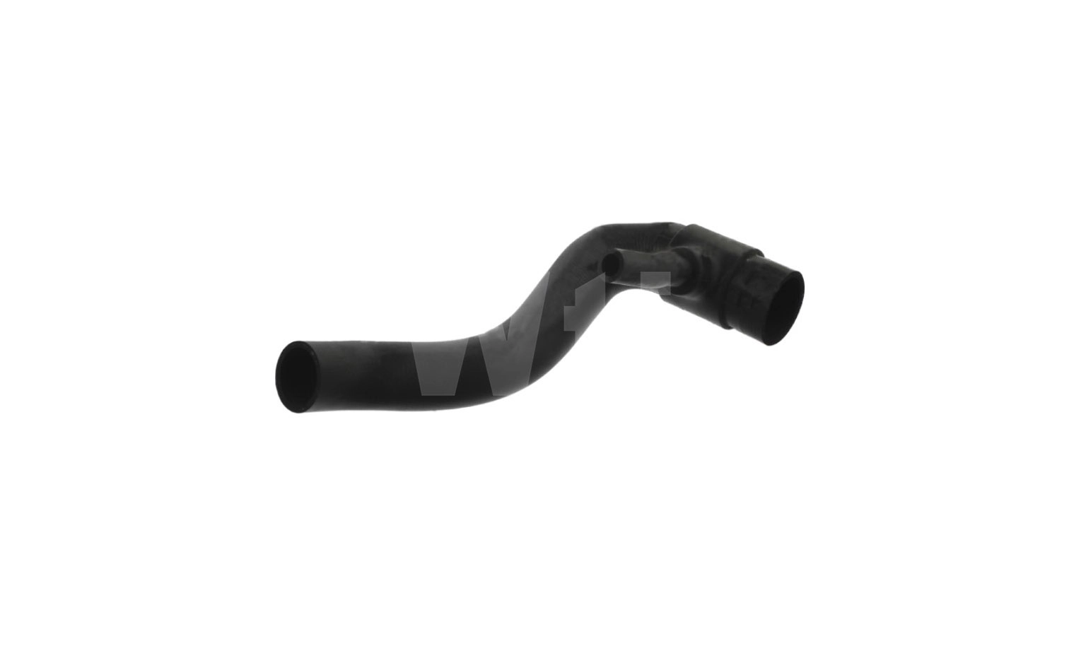 Radiator Hose (T811567)