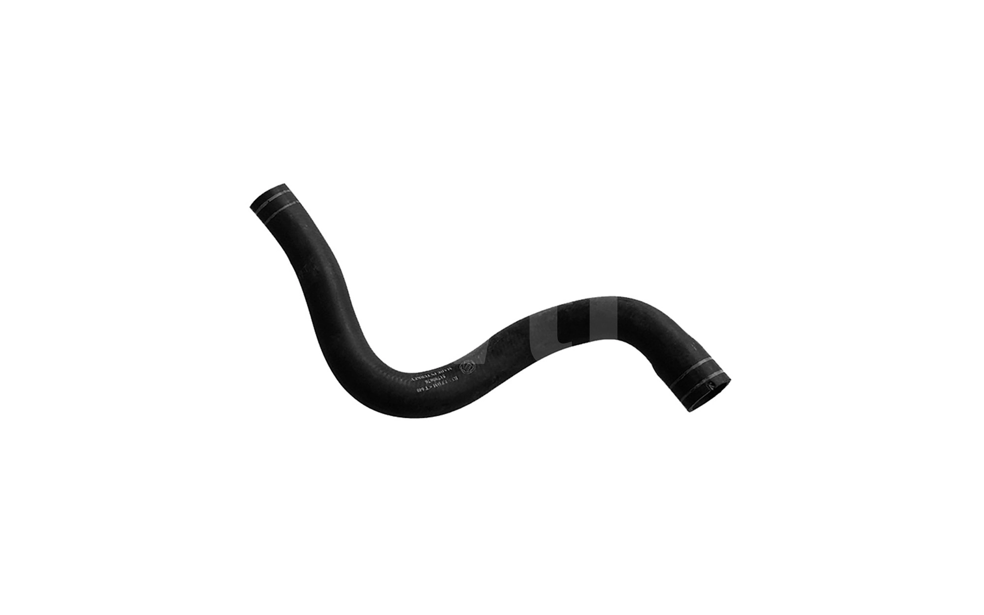 Radiator Hose (T811055)