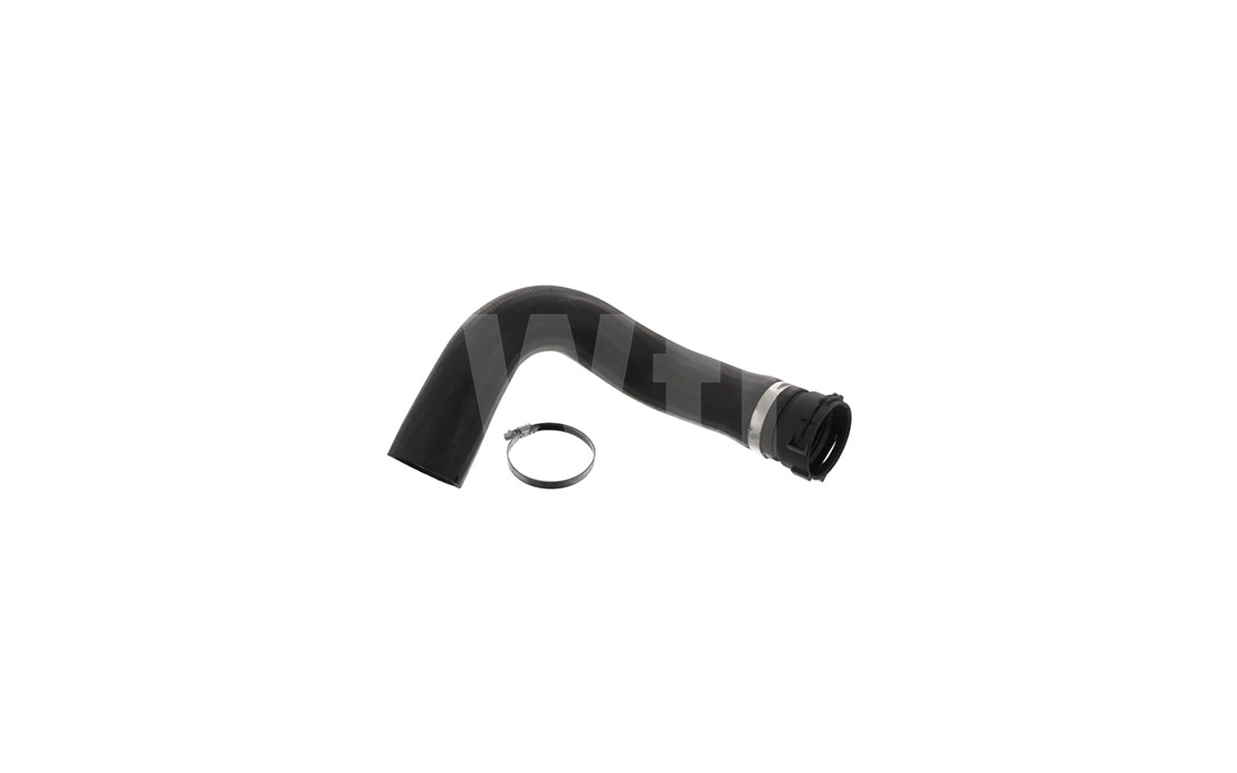 Radiator Hose (T811020)