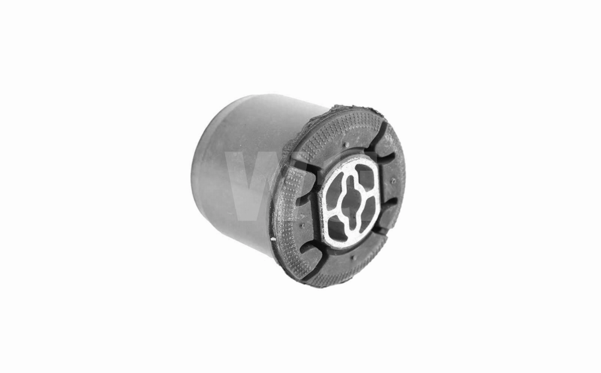 Bushing, axle beam (A981254)