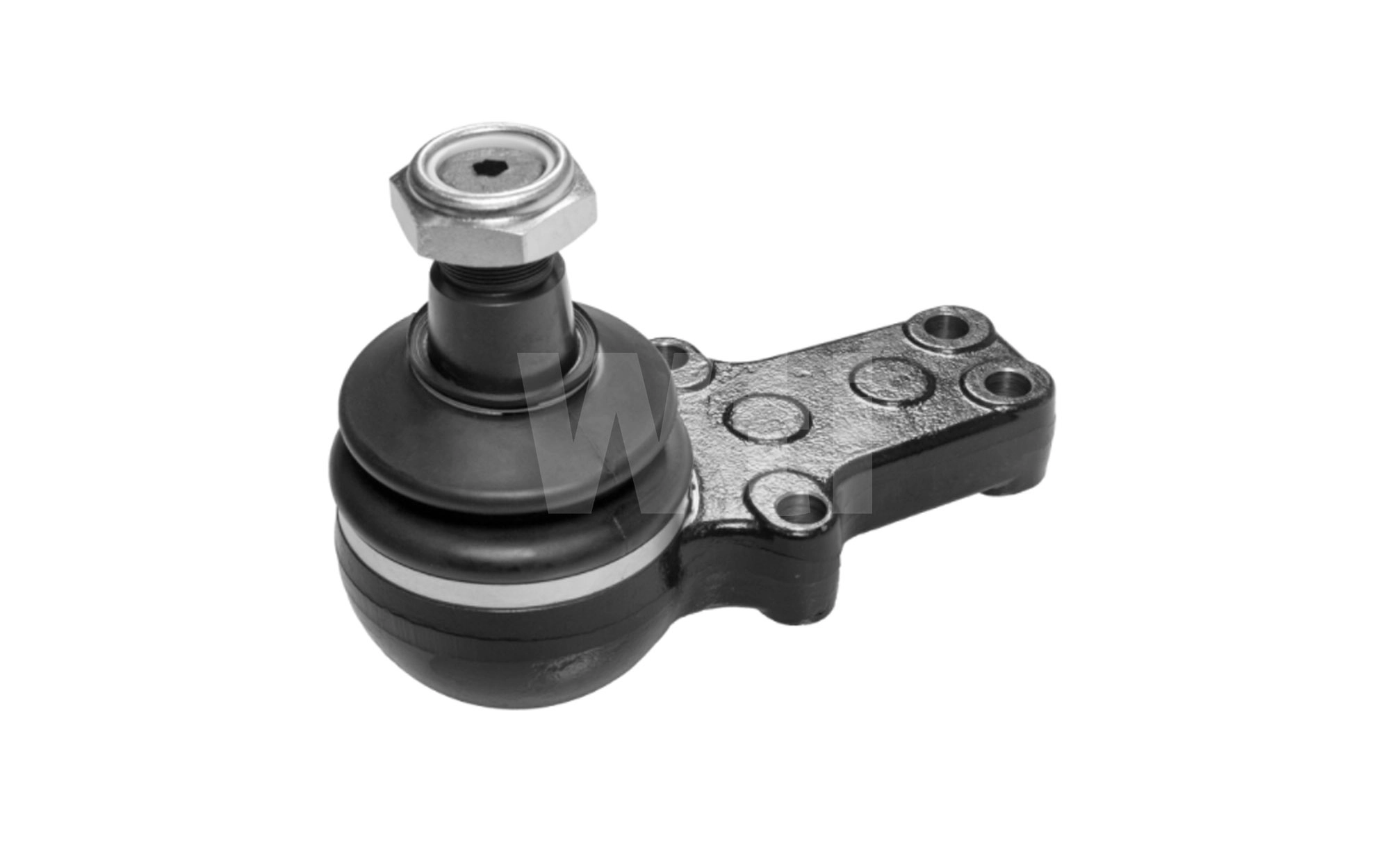 Ball Joint (A429303)