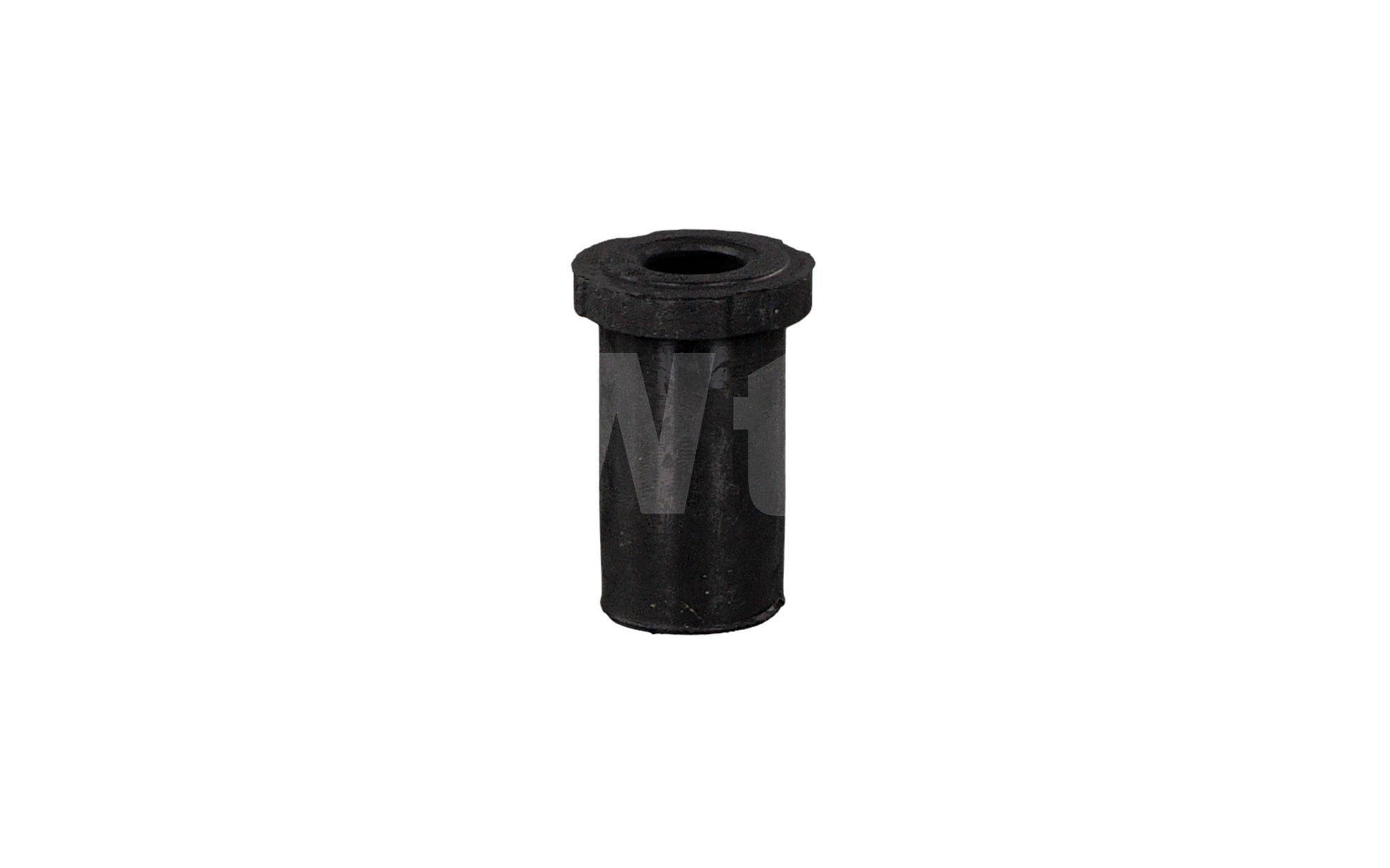 Bushing, leaf spring (A823792)