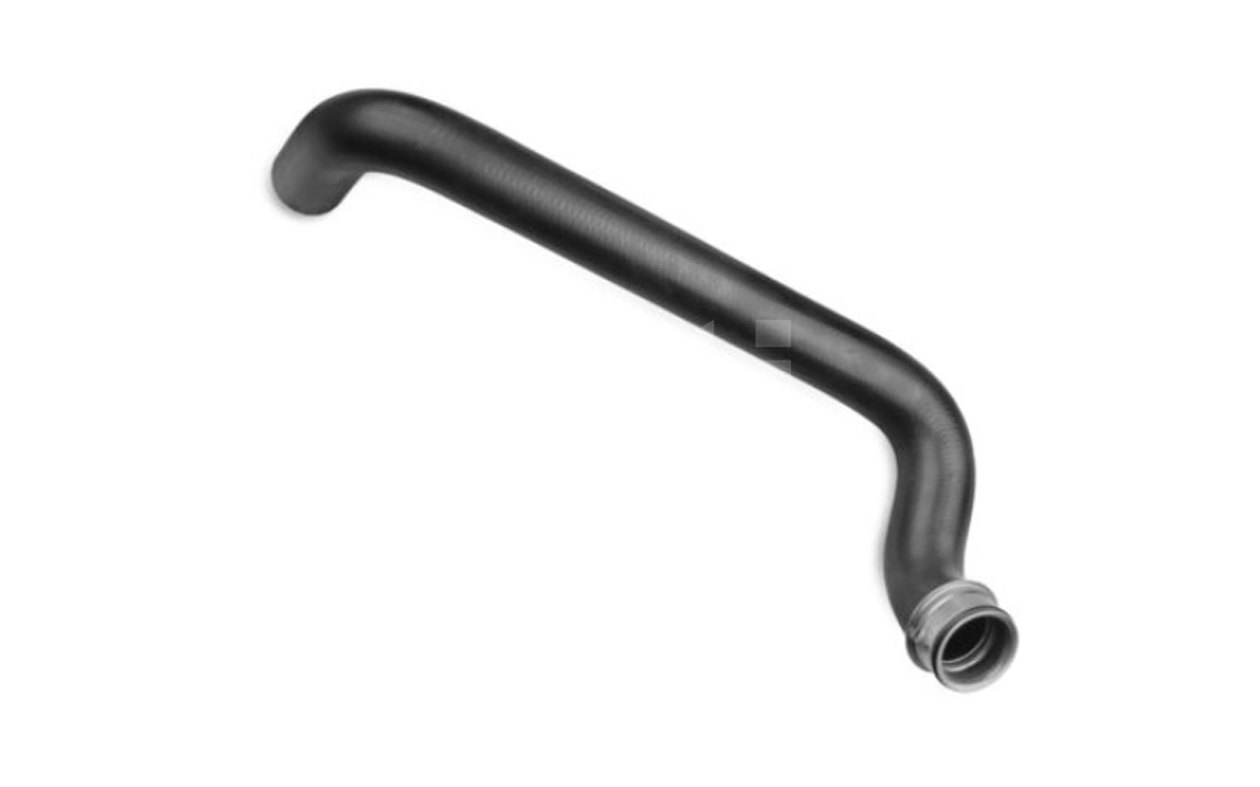 Radiator Hose (T831070)