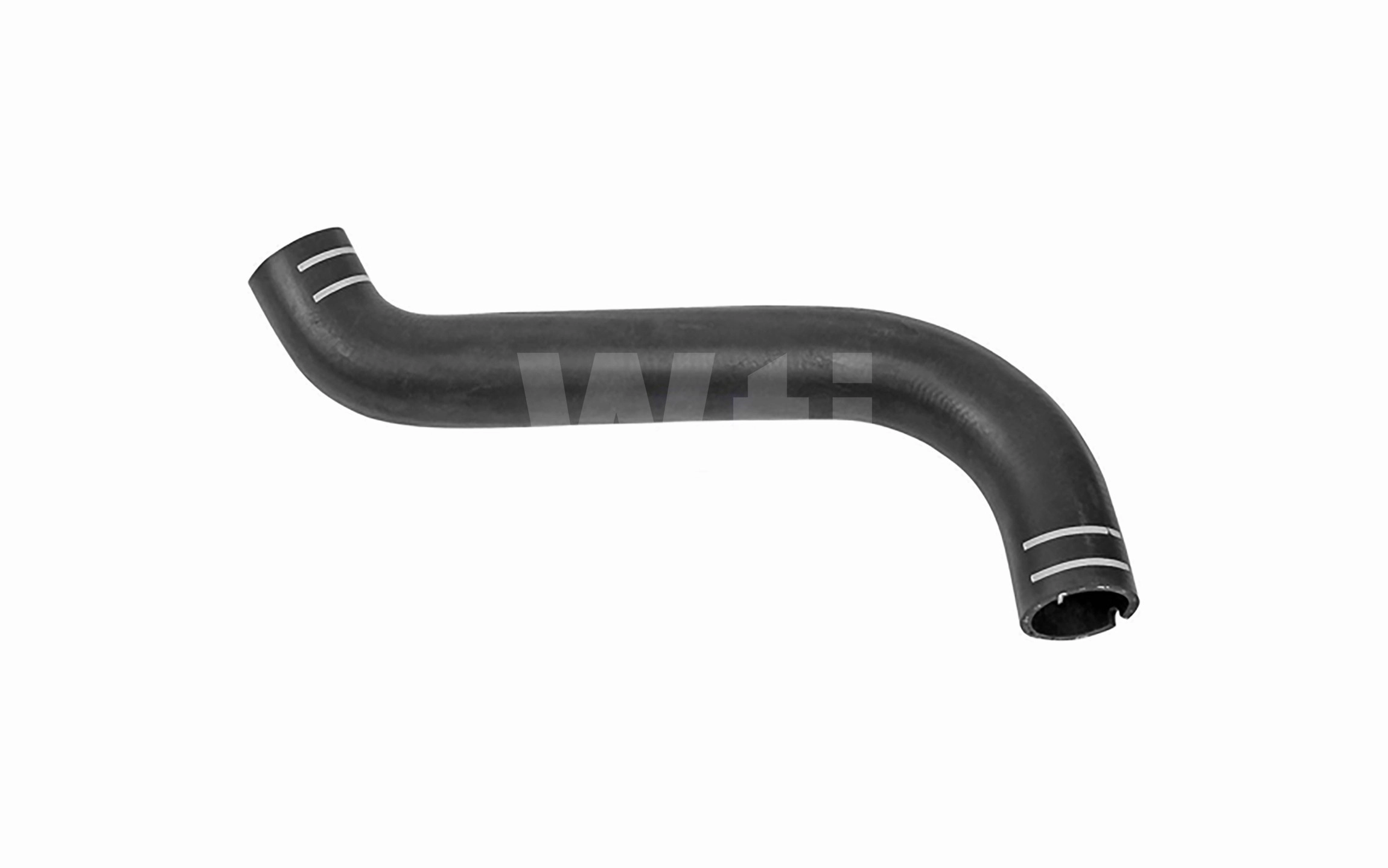 Radiator Hose (T811129)