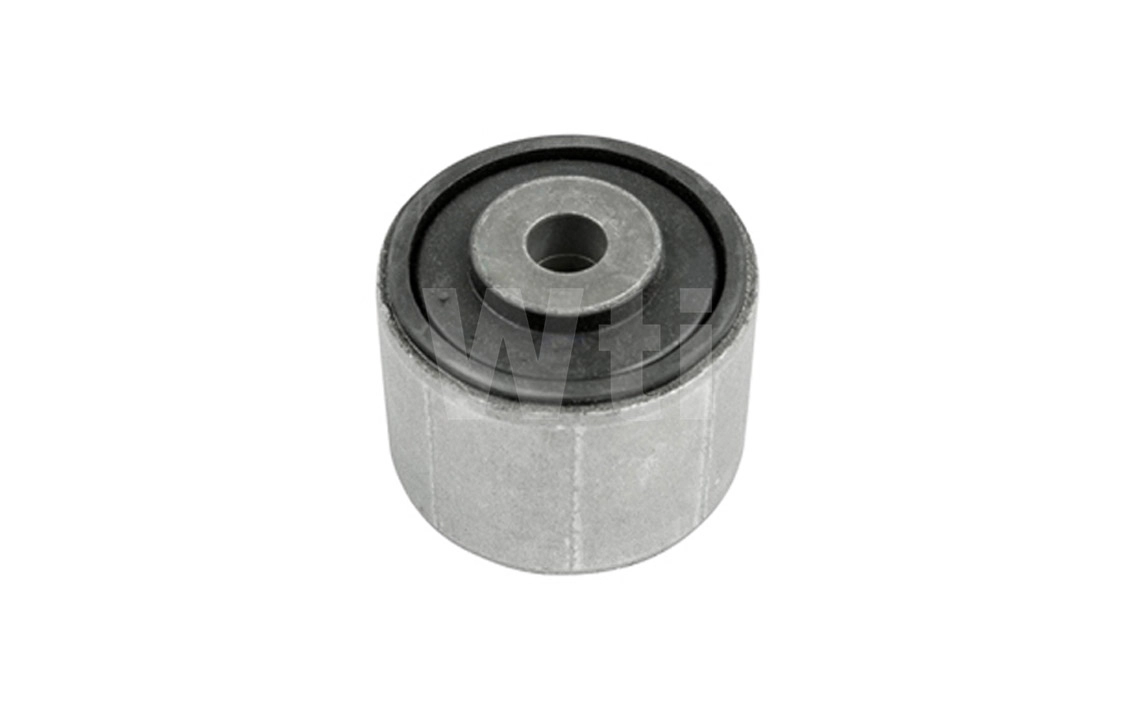 Mounting, control/trailing arm (A881283)