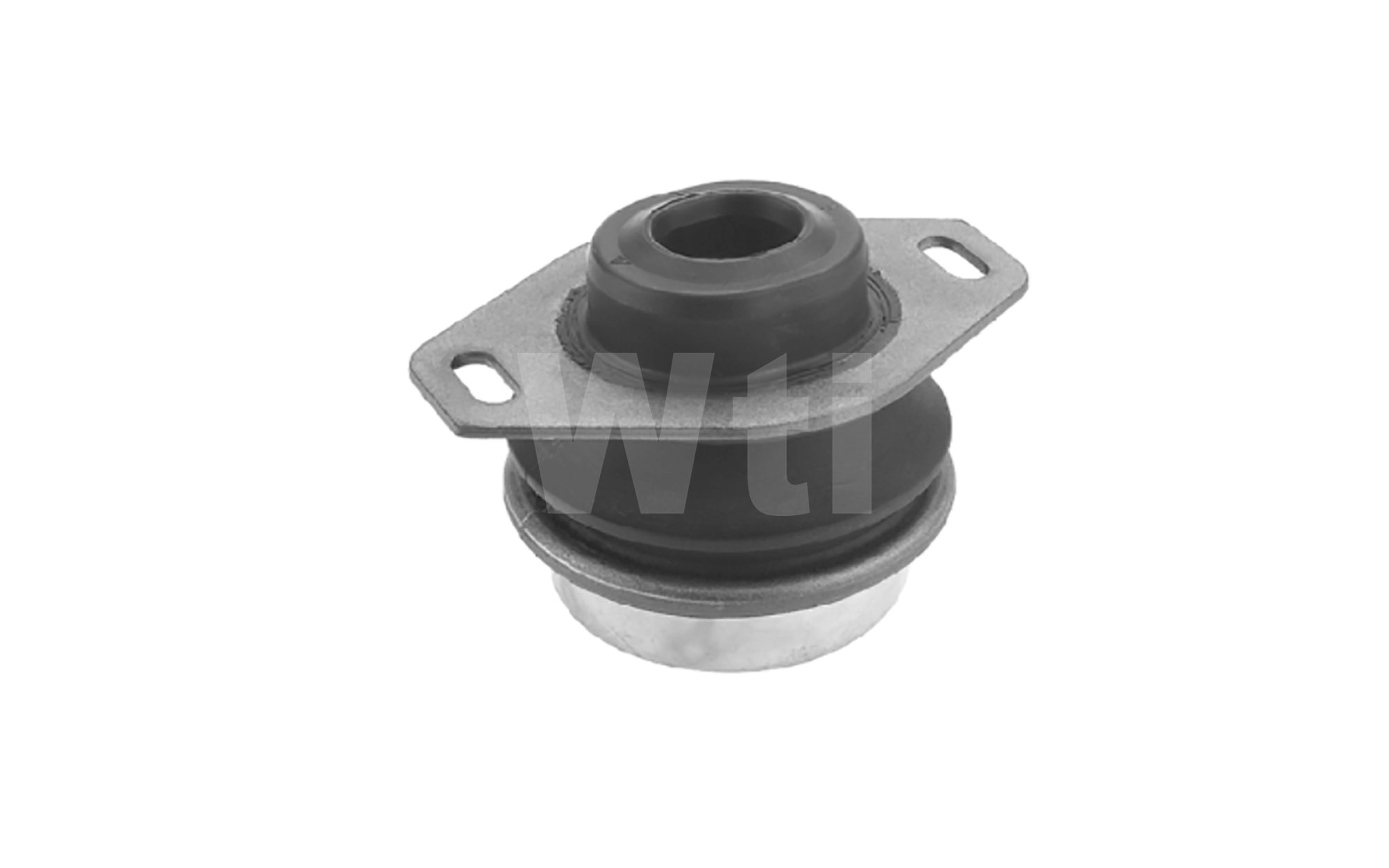 Mounting, engine (A801081)