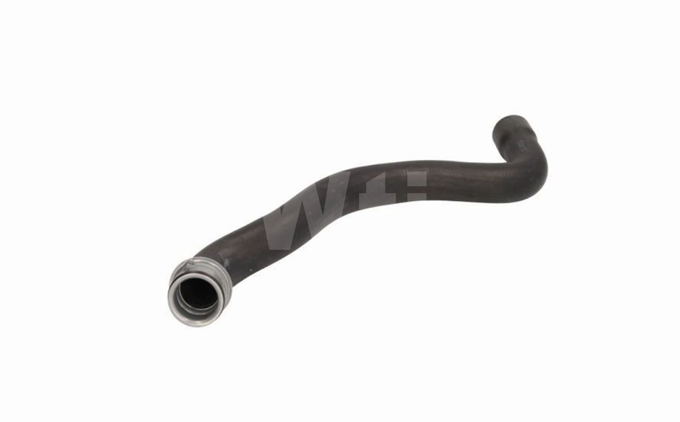 Radiator Hose (T811589)