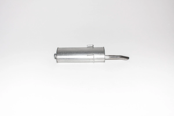 Rear Muffler (18.703)