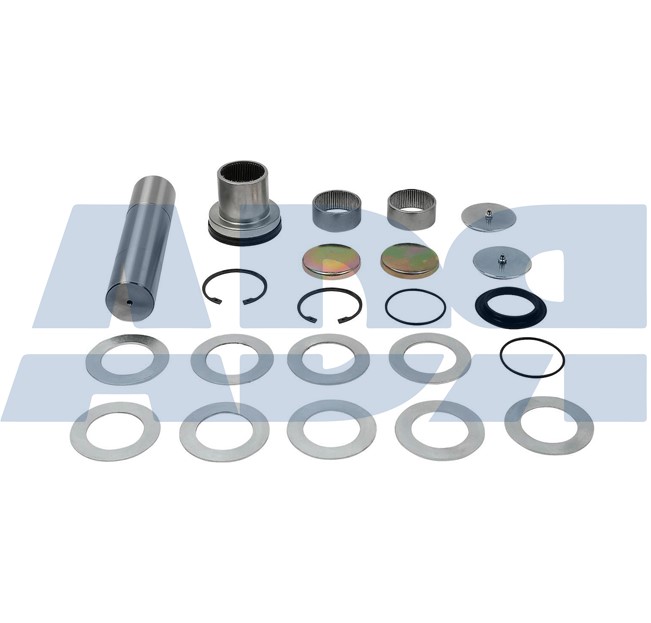 Repair Kit, kingpin (71529437)