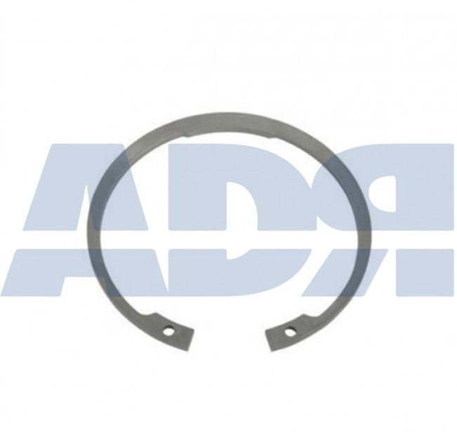 Piston Ring (30062290)