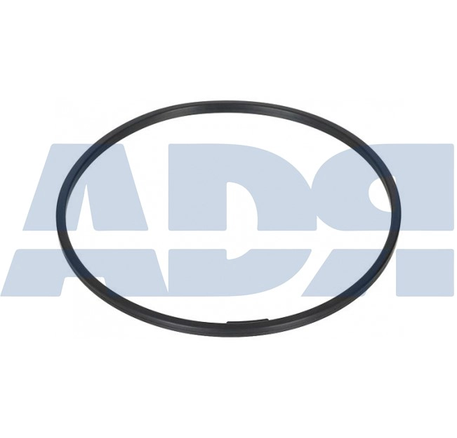 Shaft Seal, wheel hub (22562905)
