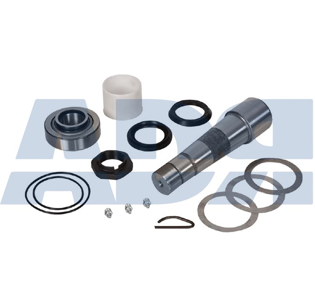 Repair Kit, kingpin (71549697)
