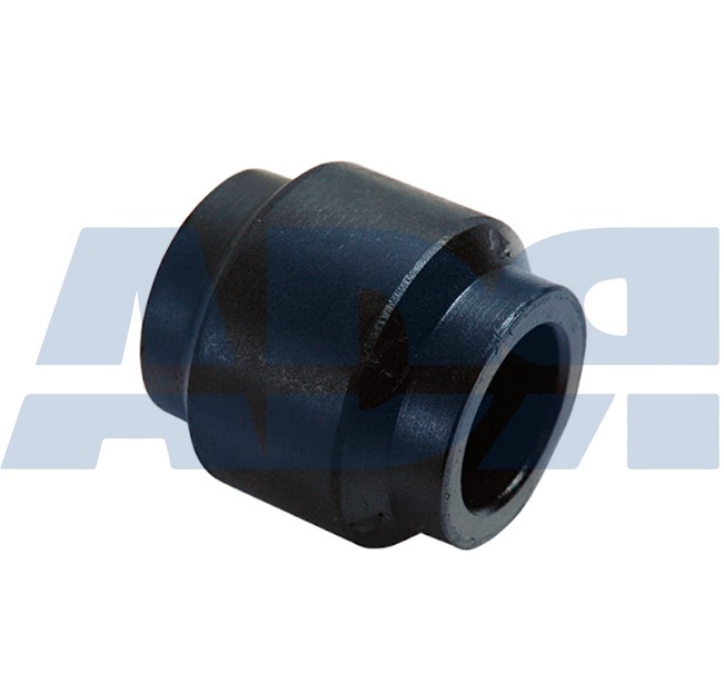 Bushing, leaf spring (55069948)