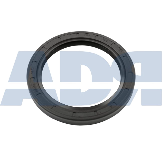 Shaft Seal, manual transmission flange (28560040)