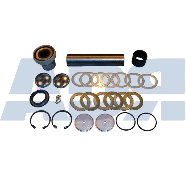 Repair Kit, kingpin (71529454)