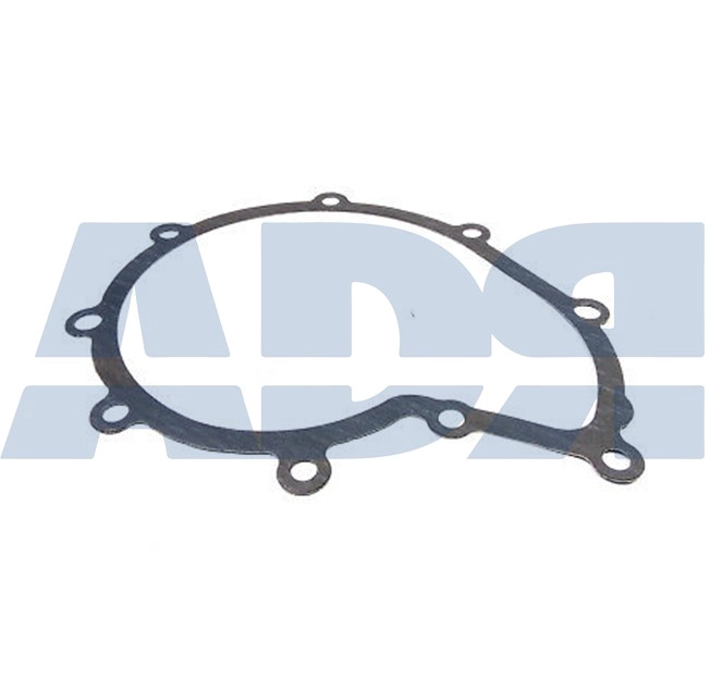 Gasket, water pump (86561051)