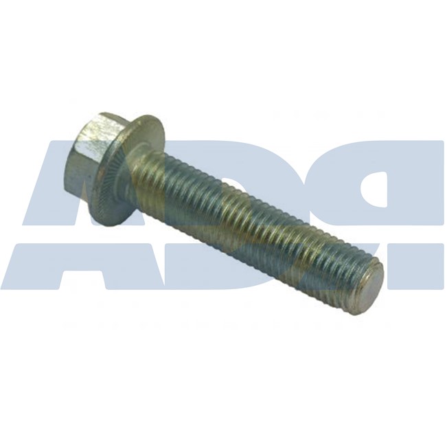 Screw (51061487)