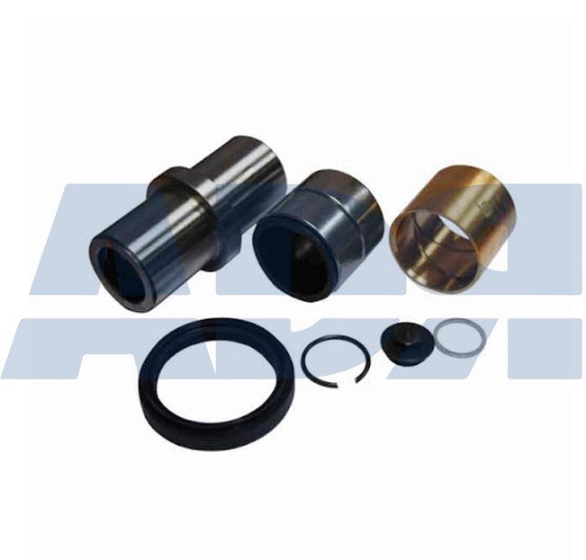 Repair Kit, kingpin (71539570)