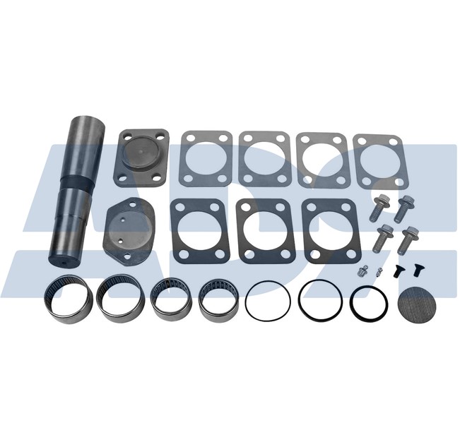 Repair Kit, kingpin (71519436)