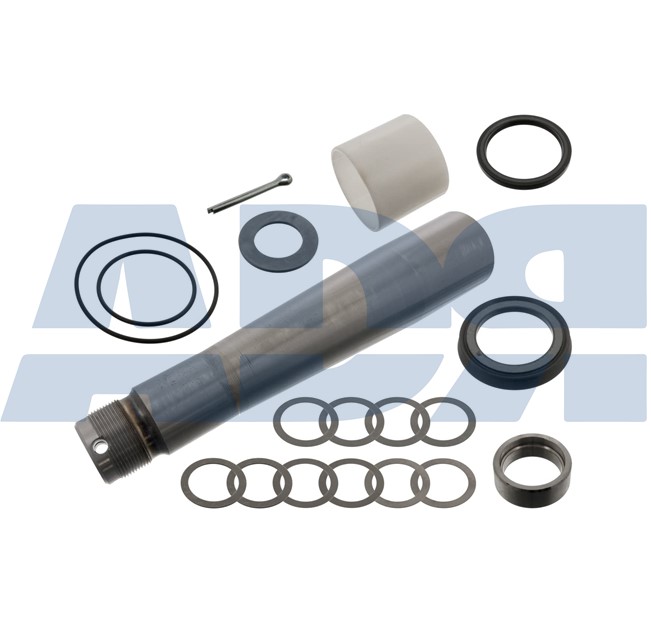 Repair Kit, kingpin (71579409)