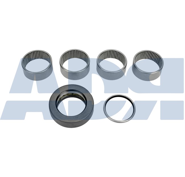 Repair Kit, kingpin (71539612)