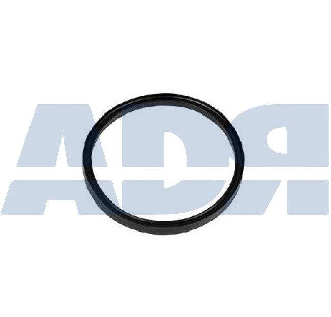 Gasket, water pump (86522037)