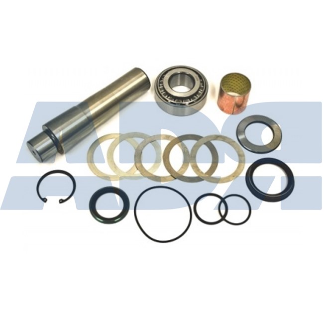 Repair Kit, kingpin (71569407)
