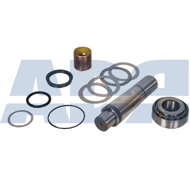 Repair Kit, kingpin (71569403)