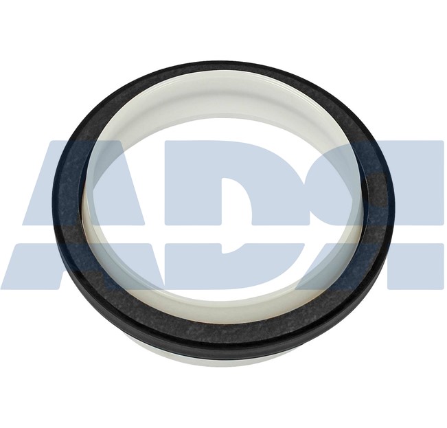 Shaft Seal, crankshaft (28509393)